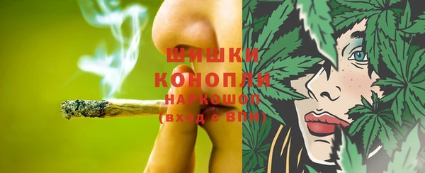 прущая мука Инта