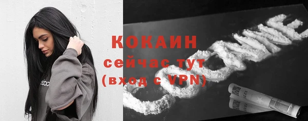 ECSTASY Каменногорск