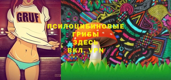 прущая мука Инта