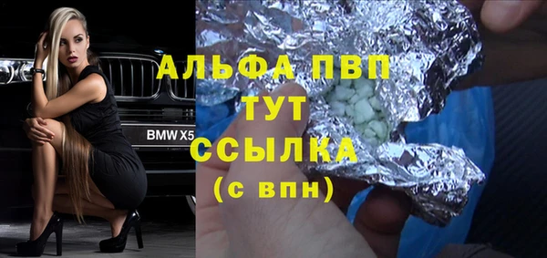 спиды Галич