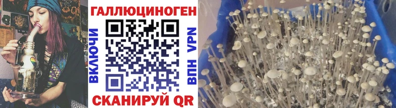 Галлюциногенные грибы Magic Shrooms  Каменногорск 